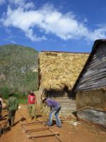 Tobacco Farm36.jpg